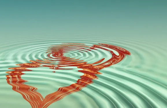 Rajbet Kazino Atbalsts